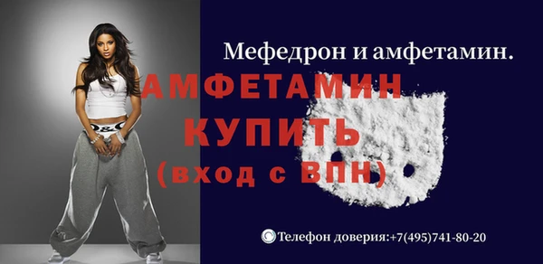 шишки Беломорск