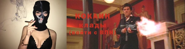 шишки Беломорск