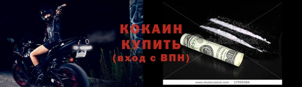 шишки Беломорск