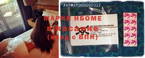 крисы Белокуриха