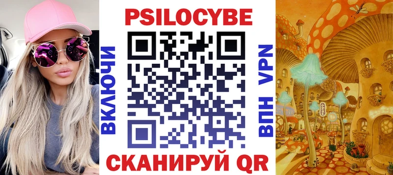 как найти закладки  Соль-Илецк  Галлюциногенные грибы Psilocybe 